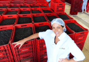 Amafruits founder with baskets of acai berries
