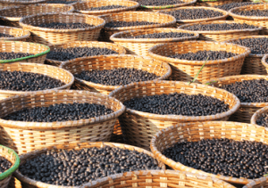 baskets of acai berries